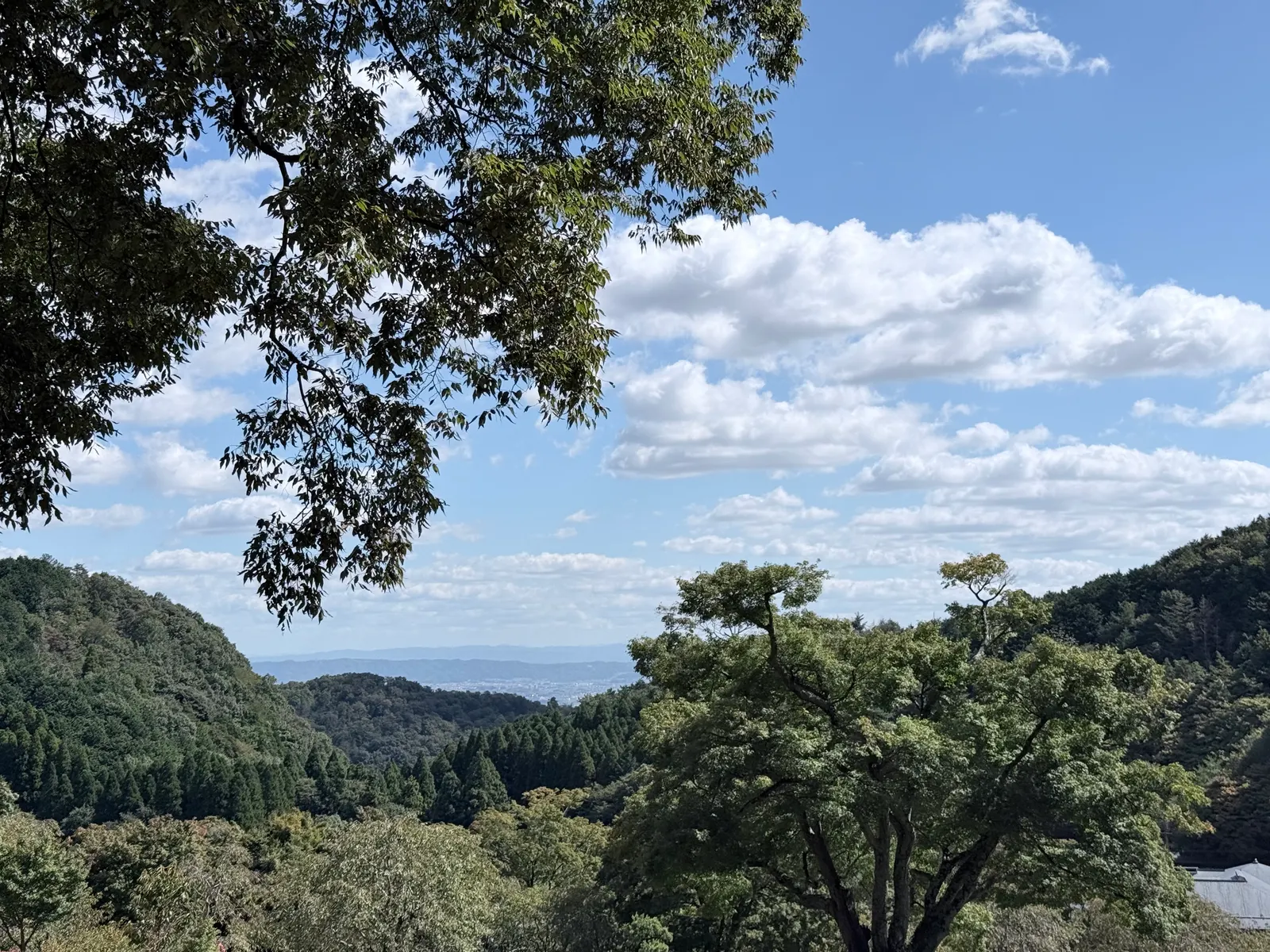 山景